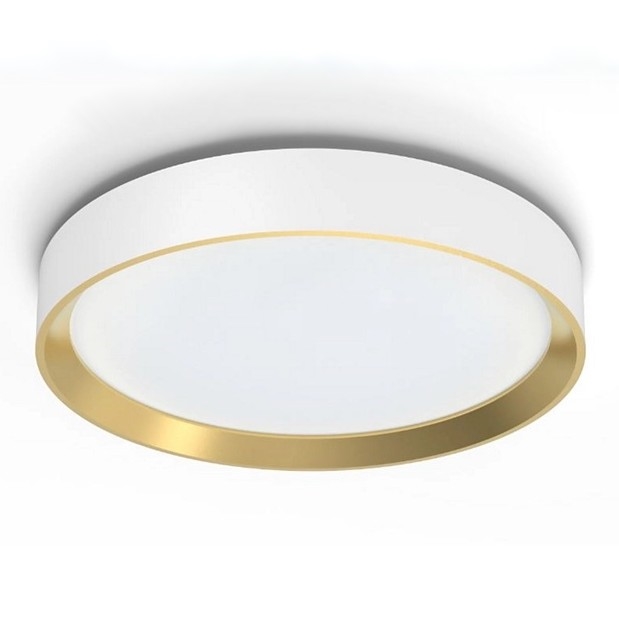 Philips - Plafoniera LED dimmerabile HANNO SCENE SWITCH LED/24W/230V 4000K bianco