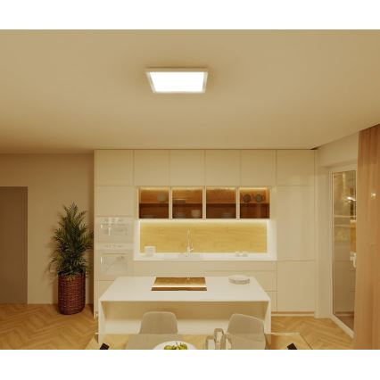 Philips - Plafoniera LED dimmerabile LED/15W/230V 2700K 39,5x39,5 cm
