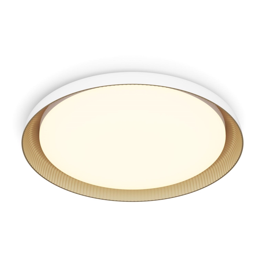 Philips - Plafoniera LED dimmerabile PEBBLO SCENE SWITCH LED/10W/230V 2700K bianco