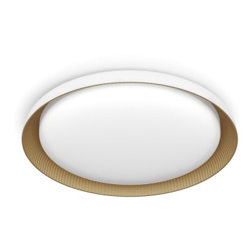 Philips - Plafoniera LED dimmerabile PEBBLO SCENE SWITCH LED/10W/230V 4000K bianco