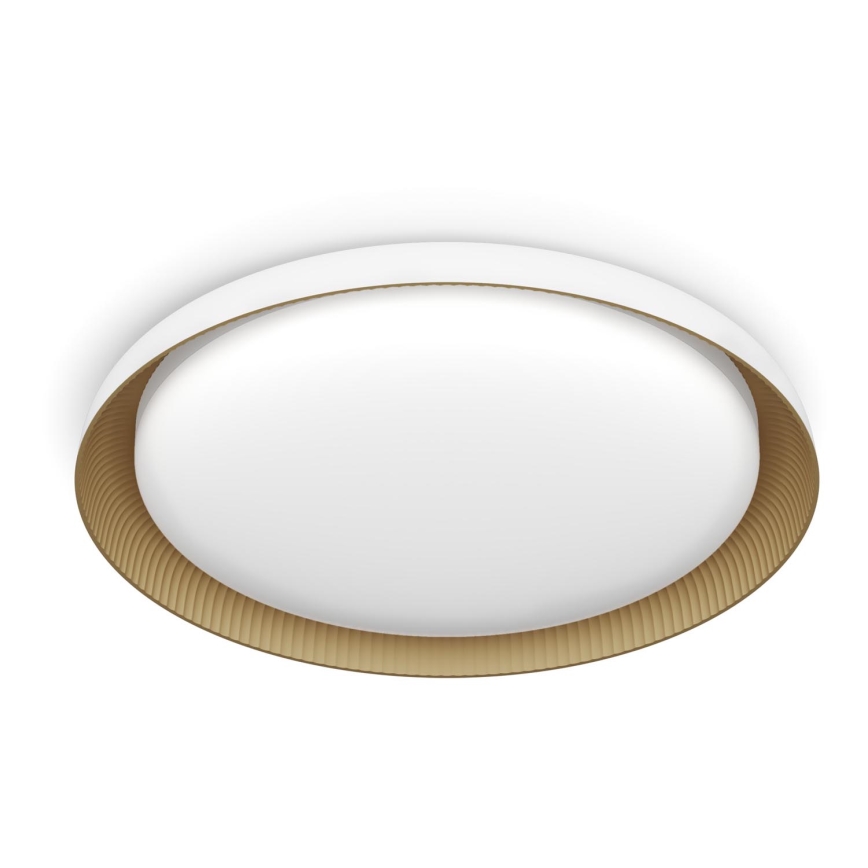 Philips - Plafoniera LED dimmerabile PEBBLO SCENE SWITCH LED/10W/230V 4000K bianco