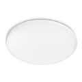 Philips - Plafoniera LED TWIRLY/17W/230V