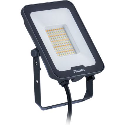 Philips - Proiettore LED LEDINAIRE ALL-IN LED/30W/230V 3000/4000/6500K IP65