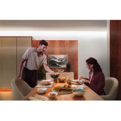 Philips - Striscia LED RGBW dimmerabile Hue FLUX 3m LED/29W/230V 2200-6500K + Hue Bridge