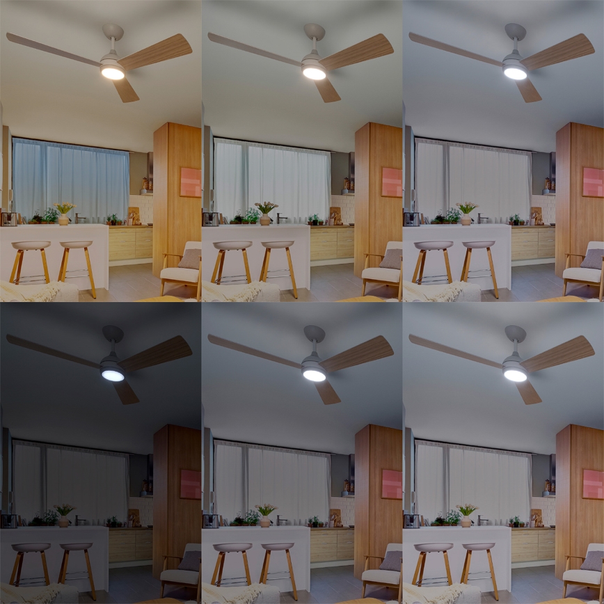 Philips - Ventilatore da soffitto LED dimmerabile CIVX LED/24W/230V + telecomando