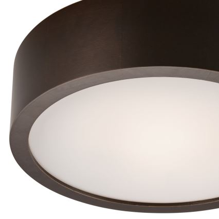 Plafoniera 1xE27/60W/230V pino