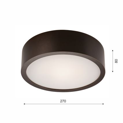 Plafoniera 1xE27/60W/230V pino