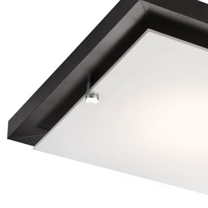 Plafoniera 1xE27/60W/230V pino