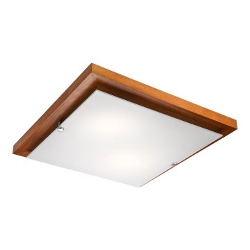 Plafoniera 2xE27/60W/230V