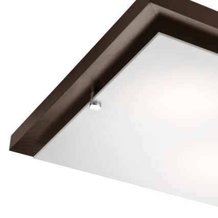 Plafoniera 2xE27/60W/230V pino