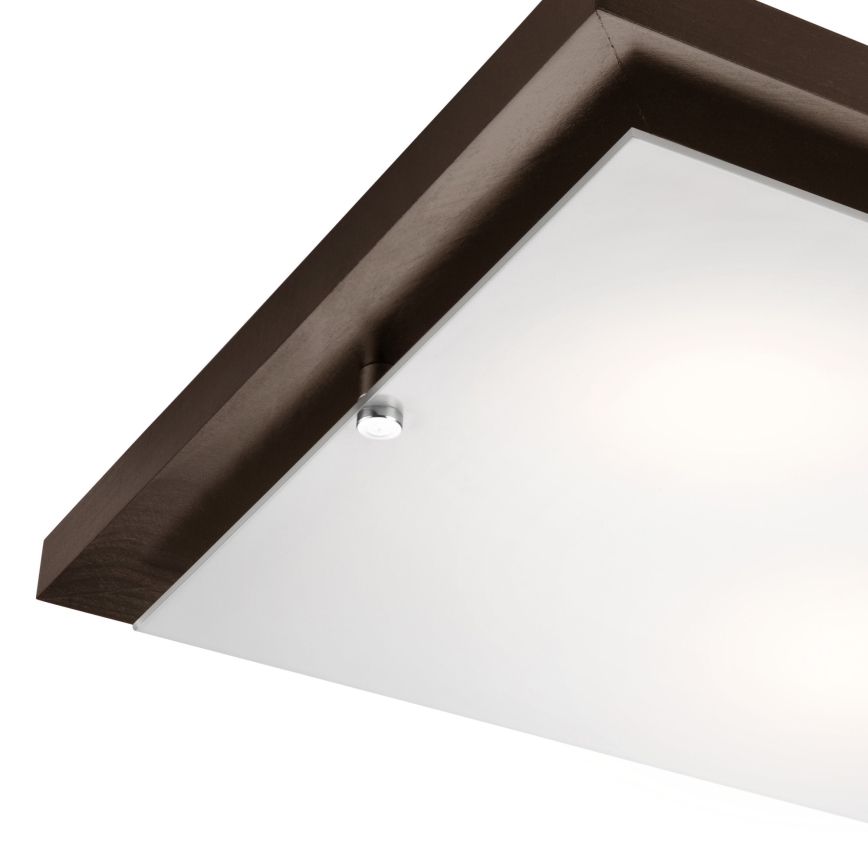 Plafoniera 2xE27/60W/230V pino