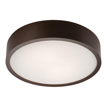 Plafoniera 2xE27/60W/230V pino