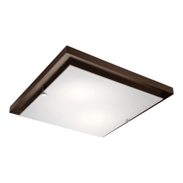 Plafoniera 2xE27/60W/230V pino