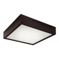 Plafoniera 2xE27/60W/230V pino