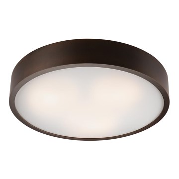 Plafoniera 3xE27/60W/230V pino