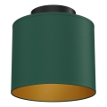 Plafoniera ARDEN 1xE27/15W/230V Ø 18 cm verde