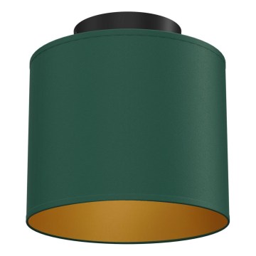 Plafoniera ARDEN 1xE27/15W/230V Ø 18 cm verde