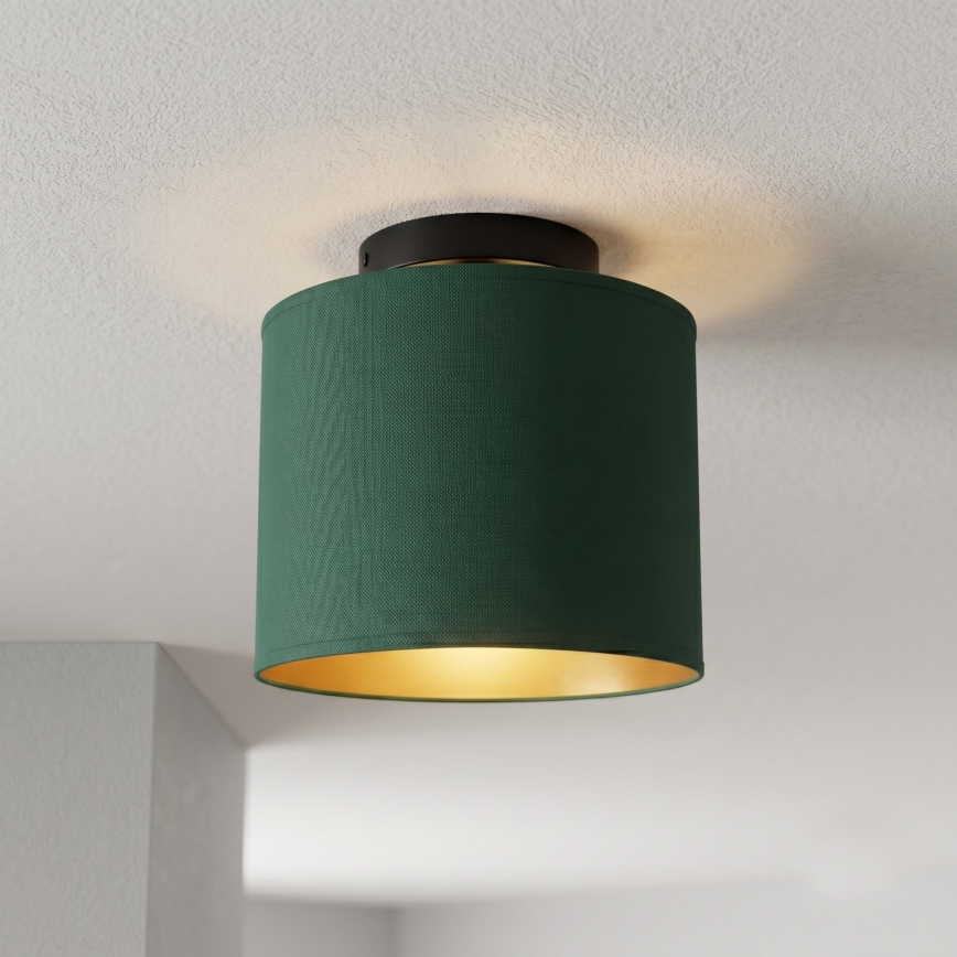 Plafoniera ARDEN 1xE27/15W/230V Ø 18 cm verde