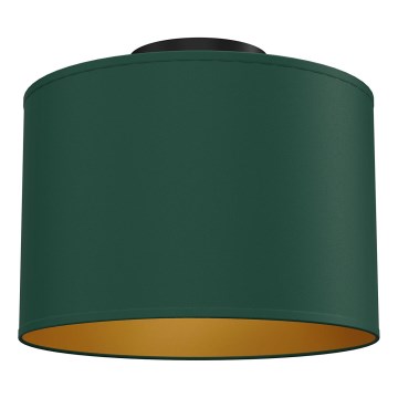 Plafoniera ARDEN 1xE27/15W/230V Ø 25 cm, verde