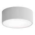 Plafoniera CLEO con sensore di movimento e crepuscolare, 1xE27/40W/230V, Ø 20 cm, grigio