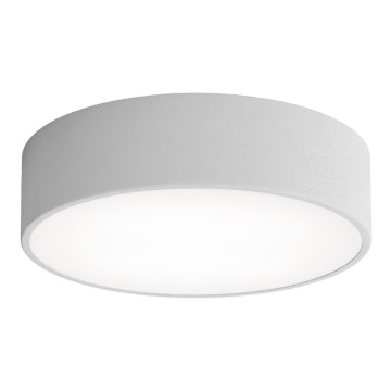 Plafoniera CLEO con sensore di movimento e sensore crepuscolare, 2xE27/24W/230V, Ø 30 cm, grigio