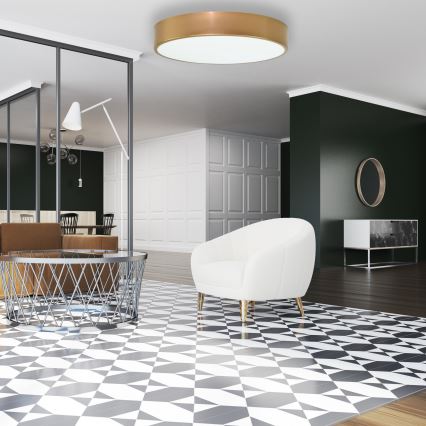 Plafoniera con sensore di movimento e sensore crepuscolare CLEO 4xE27/24W/230V Ø 50 cm dorata