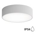 Plafoniera da bagno CLEO con sensore, 2xE27/24W/230V, Ø 30 cm, grigia, IP54