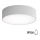 Plafoniera da bagno CLEO con sensore, 2xE27/24W/230V, Ø 30 cm, grigia, IP54