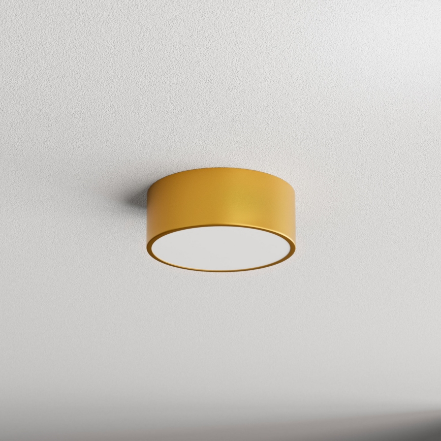 Plafoniera da bagno con sensore CLEO 1xE27/24W/230V Ø 20 cm IP54 dorata