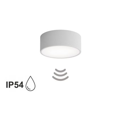 Plafoniera da bagno con sensore CLEO 1xE27/24W/230V Ø 20 cm IP54 grigia