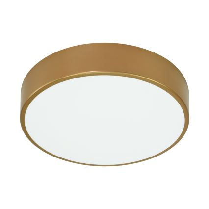 Plafoniera da bagno con sensore CLEO 3xE27/24W/230V Ø 40 cm dorata IP54