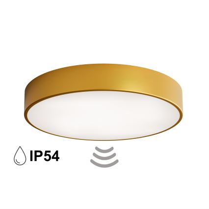 Plafoniera da bagno con sensore CLEO 4xE27/24W/230V Ø 50 cm IP54 dorata