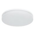 Plafoniera da bagno dimmerabile LED RGBW LED/20W/230V Wi-Fi IP44 bianco