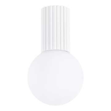 Plafoniera da bagno HALO 1xG9/8W/230V diametro 12 cm IP44 bianco