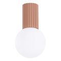 Plafoniera da bagno HALO 1xG9/8W/230V diametro 12 cm IP44 marrone
