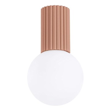 Plafoniera da bagno HALO 1xG9/8W/230V diametro 12 cm IP44 marrone