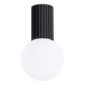 Plafoniera da bagno HALO 1xG9/8W/230V diametro 12 cm IP44 nero