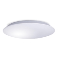 Plafoniera da bagno LED AVESTA LED/18W/230V 4000K IP54
