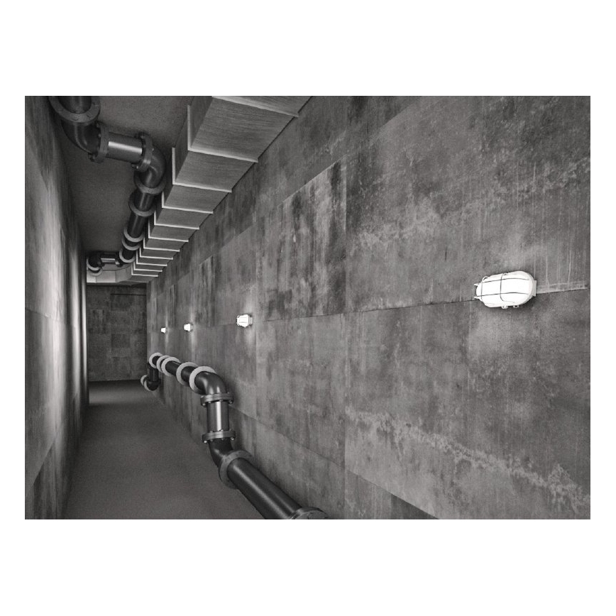Plafoniera da esterno OVAL 1xE27/60W/230V bianco IP44