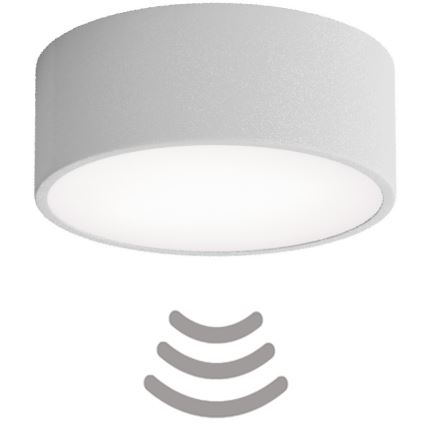 Plafoniera CLEO con sensore di movimento e crepuscolare, 1xE27/40W/230V, Ø 20 cm, grigio