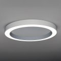 Plafoniera da soffitto LED 100W/230V 3000/4000/6500K Ø 100 cm bianca