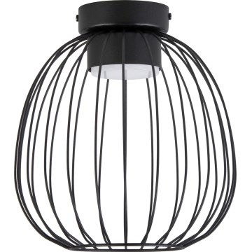 Plafoniera da soffitto OVELLA 1xGX53/10W/230V Ø 25 cm, nera