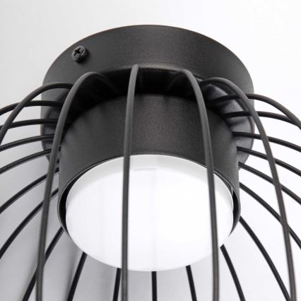 Plafoniera da soffitto OVELLA 1xGX53/10W/230V Ø 25 cm, nera