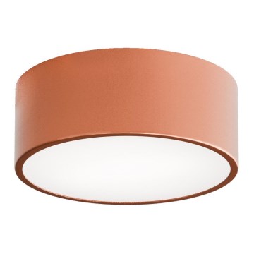 Plafoniera da soffitto per bagno con sensore CLEO 1xE27/24W/230V Ø 20 cm IP54, finitura rame