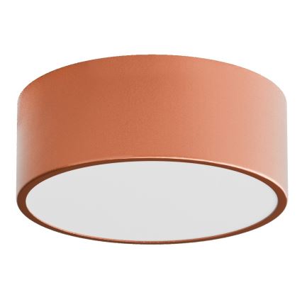 Plafoniera da soffitto per bagno con sensore CLEO 1xE27/24W/230V Ø 20 cm IP54, finitura rame