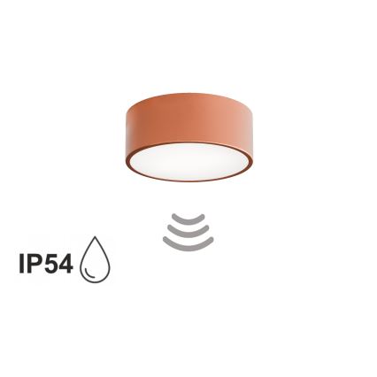 Plafoniera da soffitto per bagno con sensore CLEO 1xE27/24W/230V Ø 20 cm IP54, finitura rame
