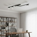 Plafoniera da soffitto SKAN 3xGX53/12W/230V nera
