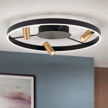 Plafoniera dimmerabile a LED BERLIN LED/50W/230V nero/oro