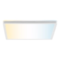 Plafoniera dimmerabile a LED LUMARO LED/18W/230V 3000-6500K 29,3x29,3 cm bianca + telecomando
