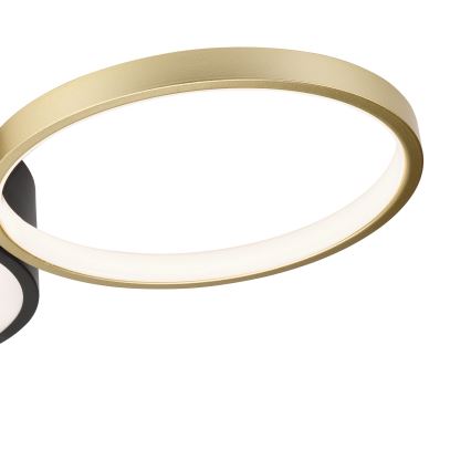Plafoniera dimmerabile ALIZEE LED/30W/230V 3000-6500K nero/oro